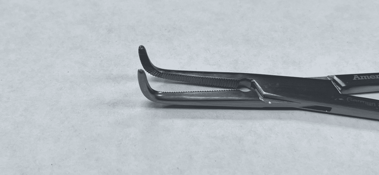 The tips of a Heiss Arthery Forcep