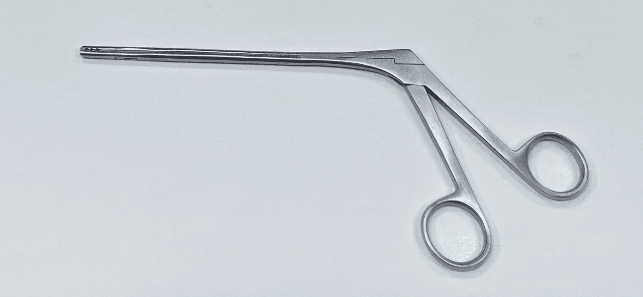A SOUDRY TYPE LOOSE BODY GRASPER on a white surface.