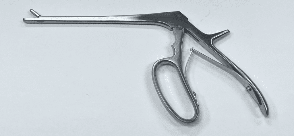 A SHARK TOOTHED GRASPER on a white surface.